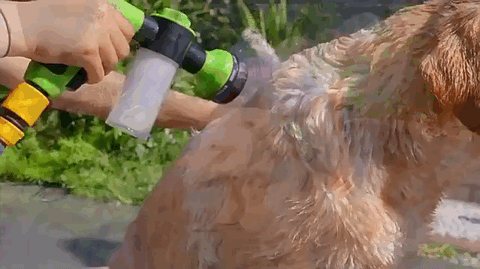 AquaFreshez™ - 3 Mode Adjustable Pet Wash Sprayer