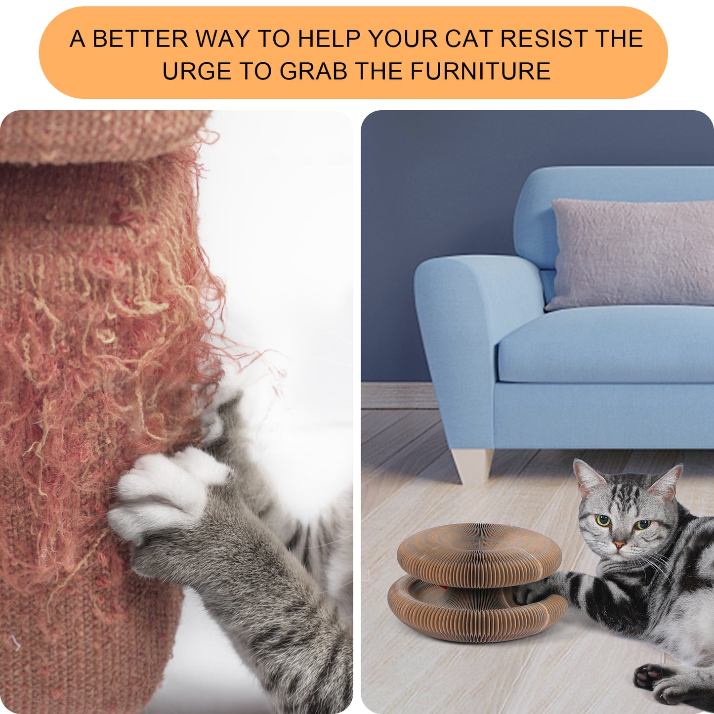 ClawCraft – Shape-Shifting Fun for Cats