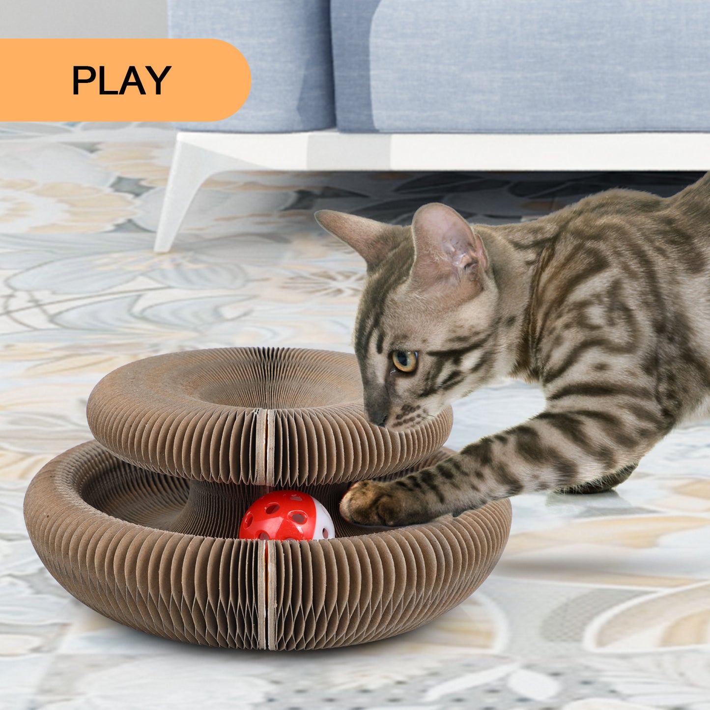 ClawCraft – Shape-Shifting Fun for Cats