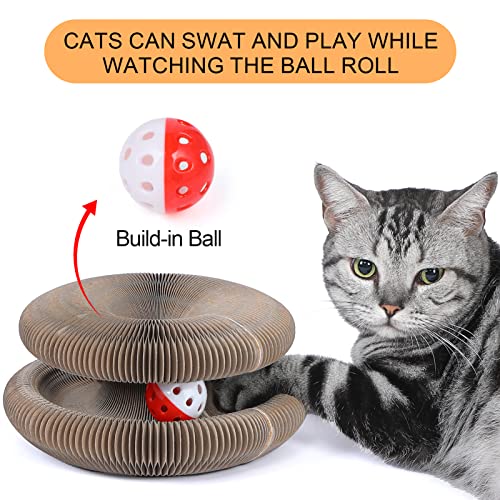 ClawCraft – Shape-Shifting Fun for Cats