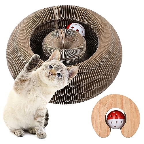ClawCraft – Shape-Shifting Fun for Cats