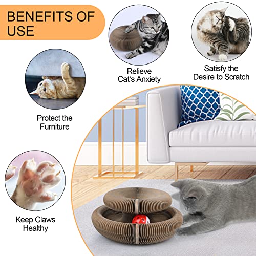 ClawCraft – Shape-Shifting Fun for Cats