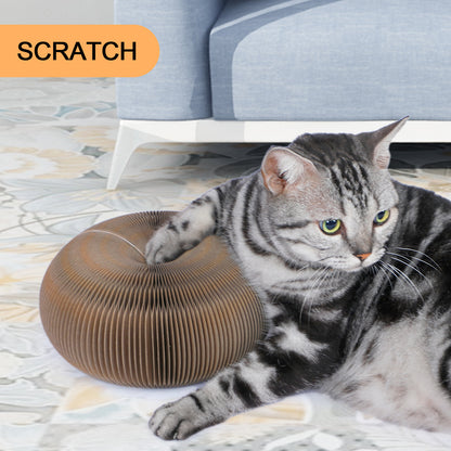 ClawCraft – Shape-Shifting Fun for Cats