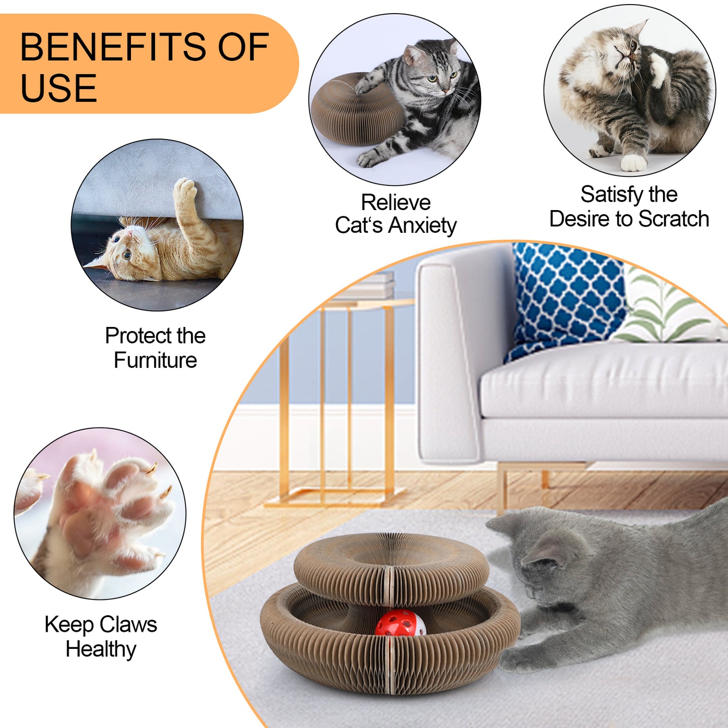 ClawCraft – Shape-Shifting Fun for Cats