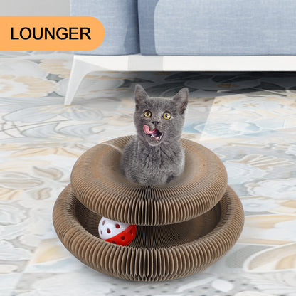ClawCraft – Shape-Shifting Fun for Cats
