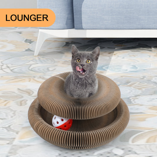 ClawCraft – Shape-Shifting Fun for Cats