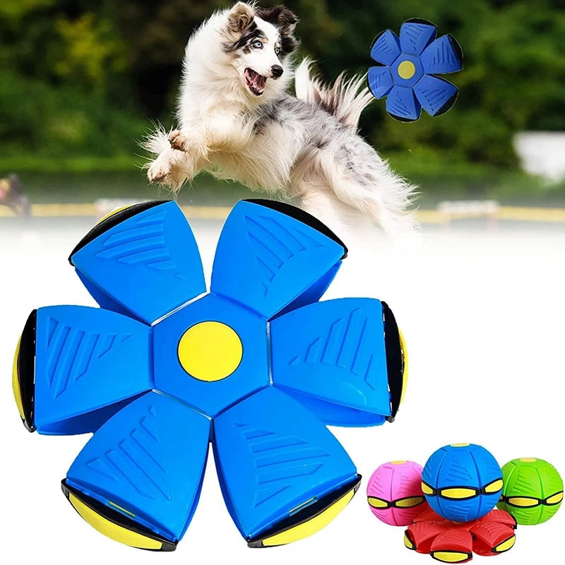 Chiens Jouet Soucoupe volante Boule Magic Ball Toy avec lumières Creative  Decompression Ball Pet Toy Outdoor Dog Training Saucer Toys